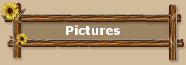 Pictures